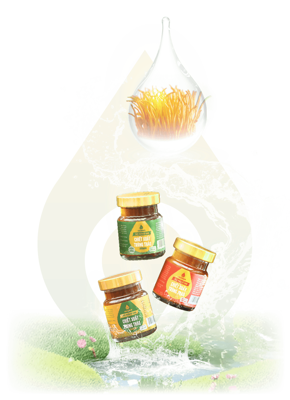 Nước trùng thảo