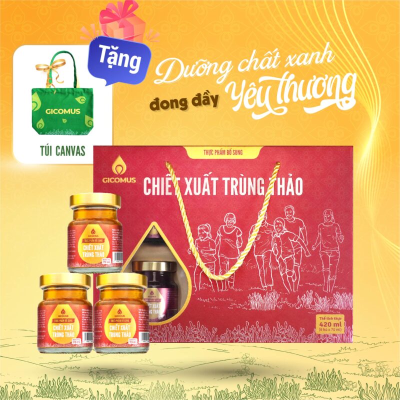 Nước chiết xuất trùng thảo GICOMUS Hộp 420ml