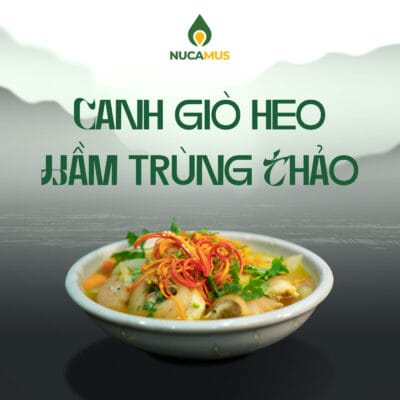 giò heo hầm nấm trùng thảo