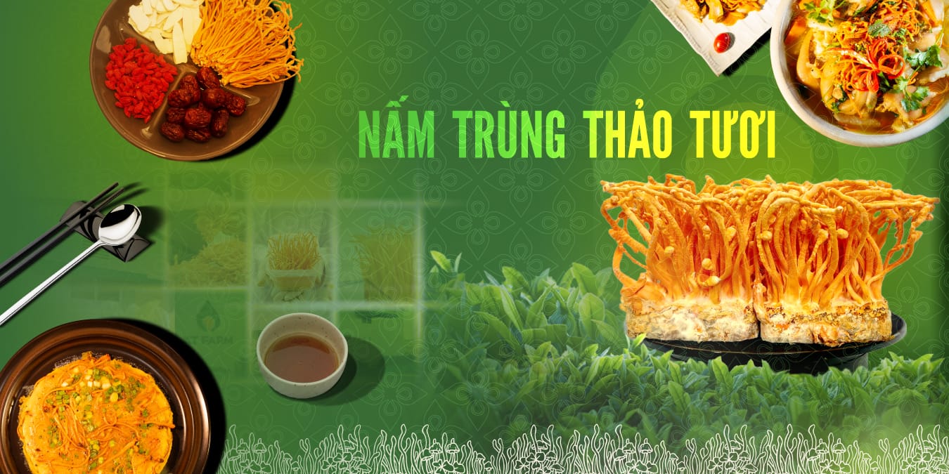 Nấm trùng thảo tươi Nucamus hộp 200g