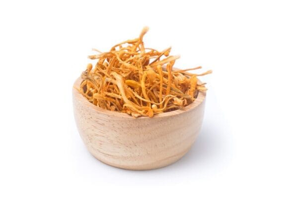 đông trùng hạ thảo sấy khô