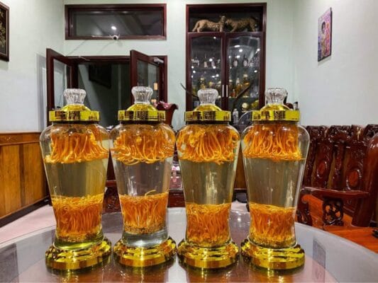 đông trùng hạ thảo sấy khô ngâm rượu