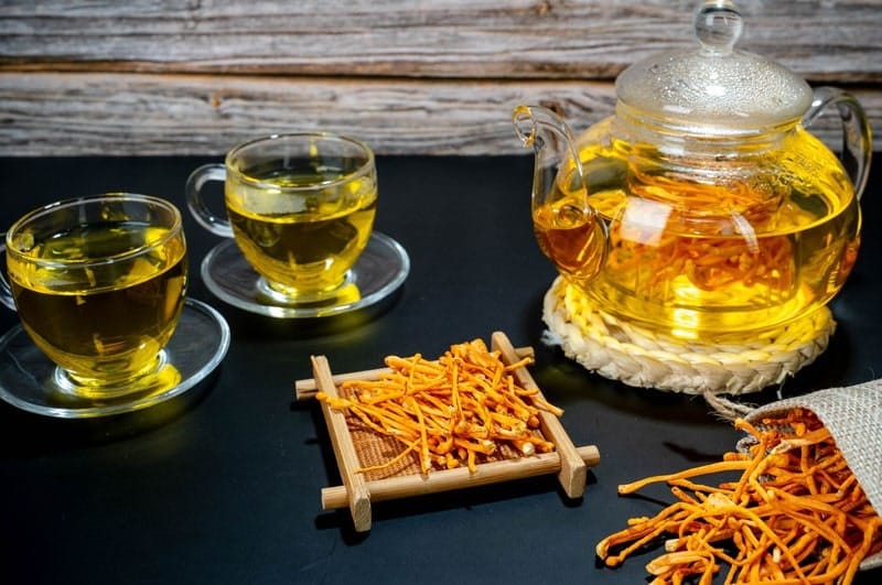 trà đông trùng hạ thảo