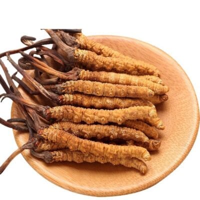 chế biến đông trùng hạ thảo