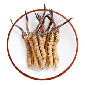 cong-dung-dong-trung-ha-thao