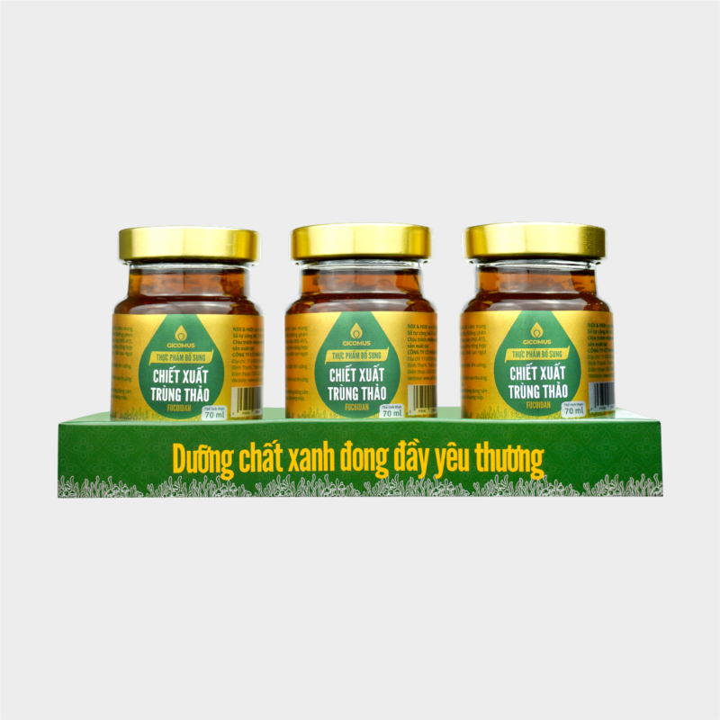 Combo 2: 3 hũ Nước chiết xuất trùng thảo Fucoidan GICOMUS 70ml
