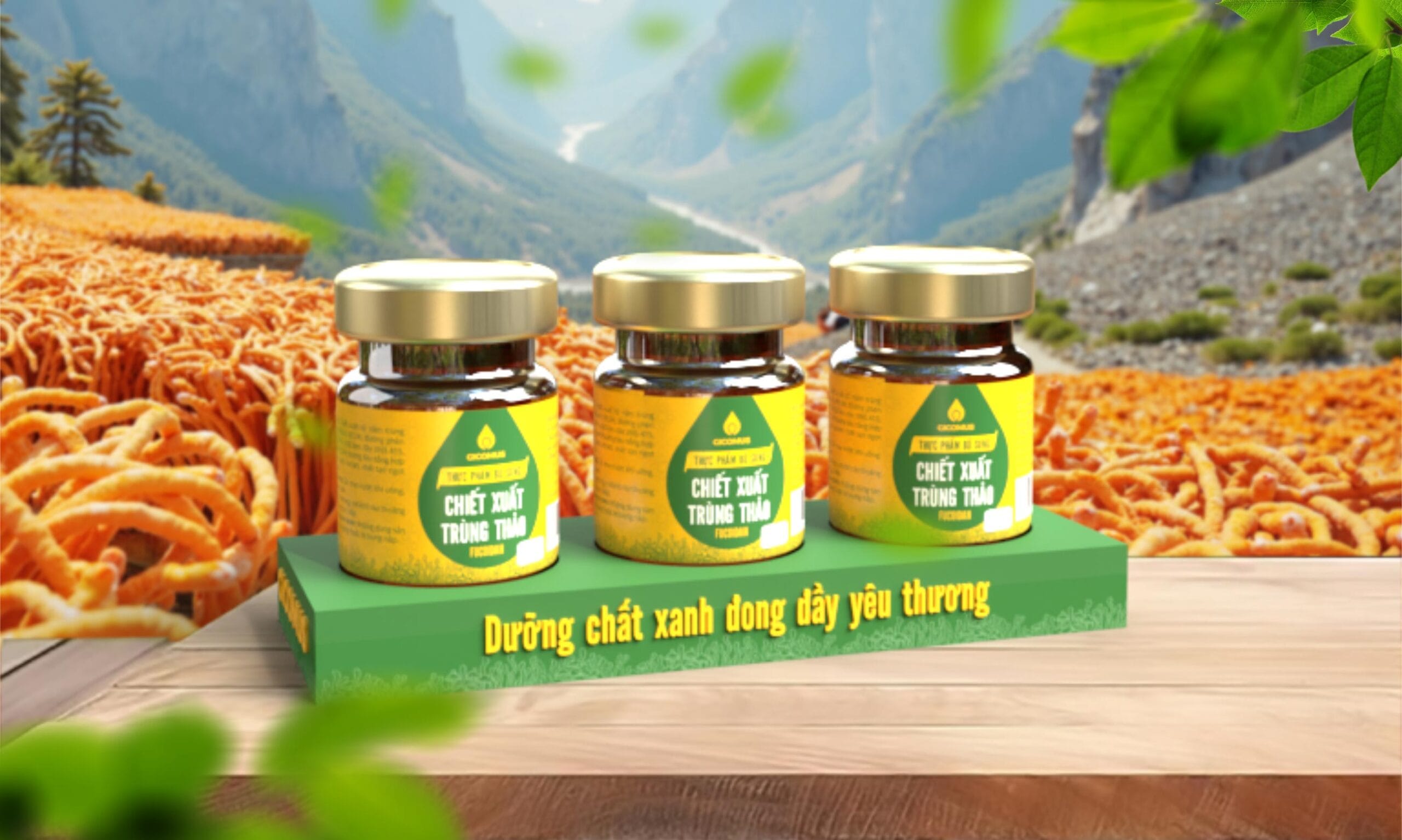 Combo 2: 3 hũ nước chiết xuất trùng thảo fucoidan, hũ 70ml