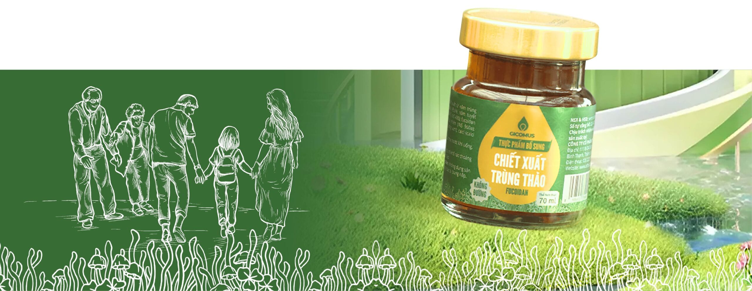 nước chiết xuất trùng thảo fucoidan không đường