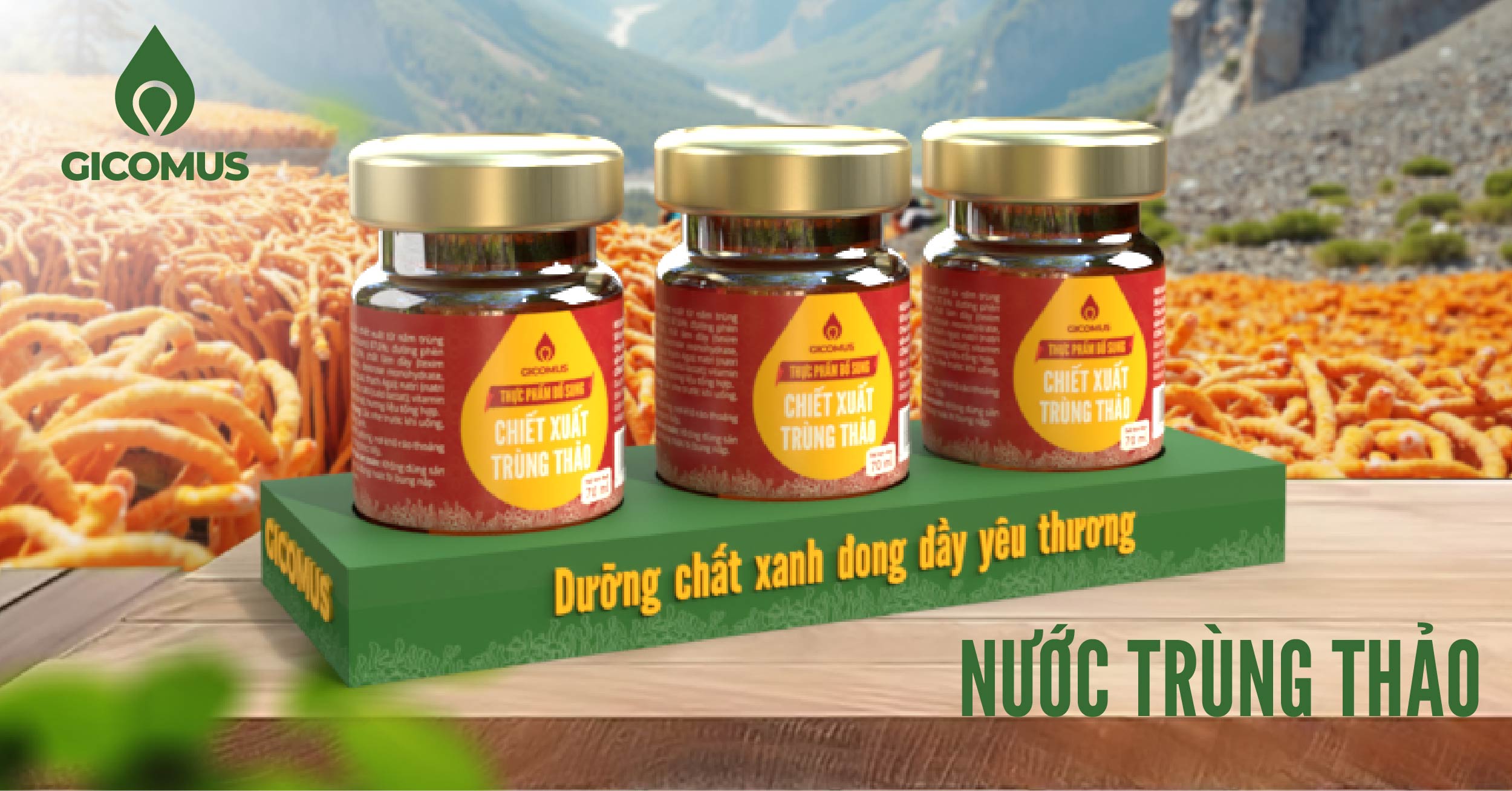 Combo 1: 3 hũ chiết xuất trùng thảo, hũ 70ml