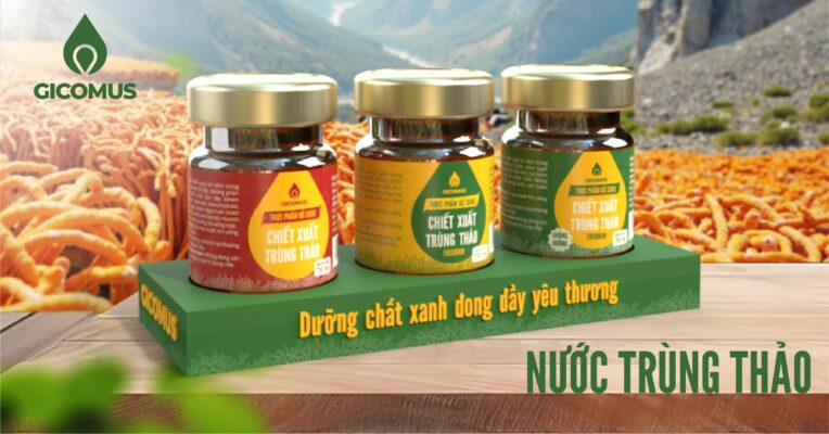 Nước Trùng Thảo GICOMUS – Dưỡng chất xanh đong đầy yêu thương