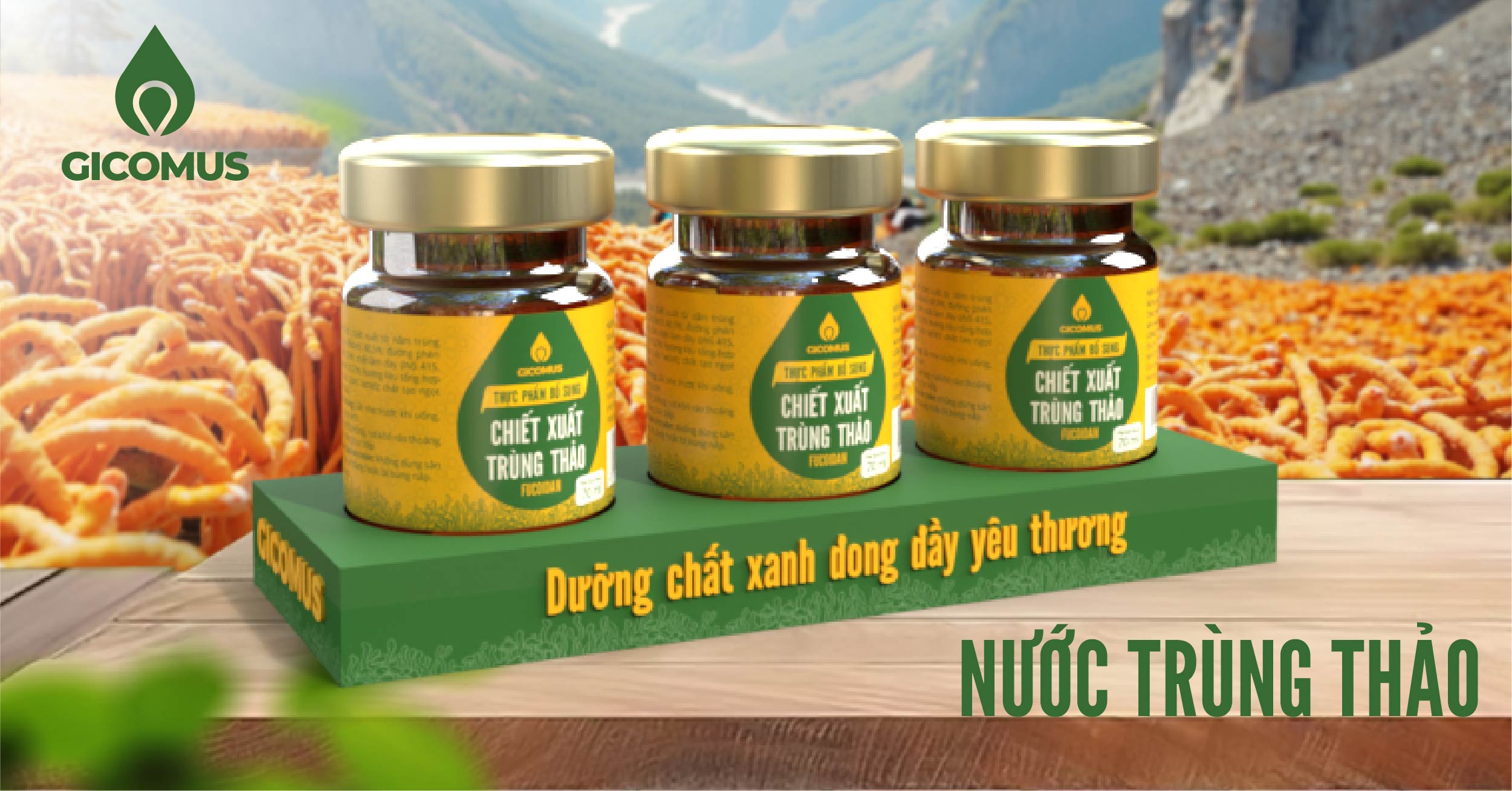 Combo 2: 3 hũ nước chiết xuất trùng thảo fucoidan, hũ 70ml