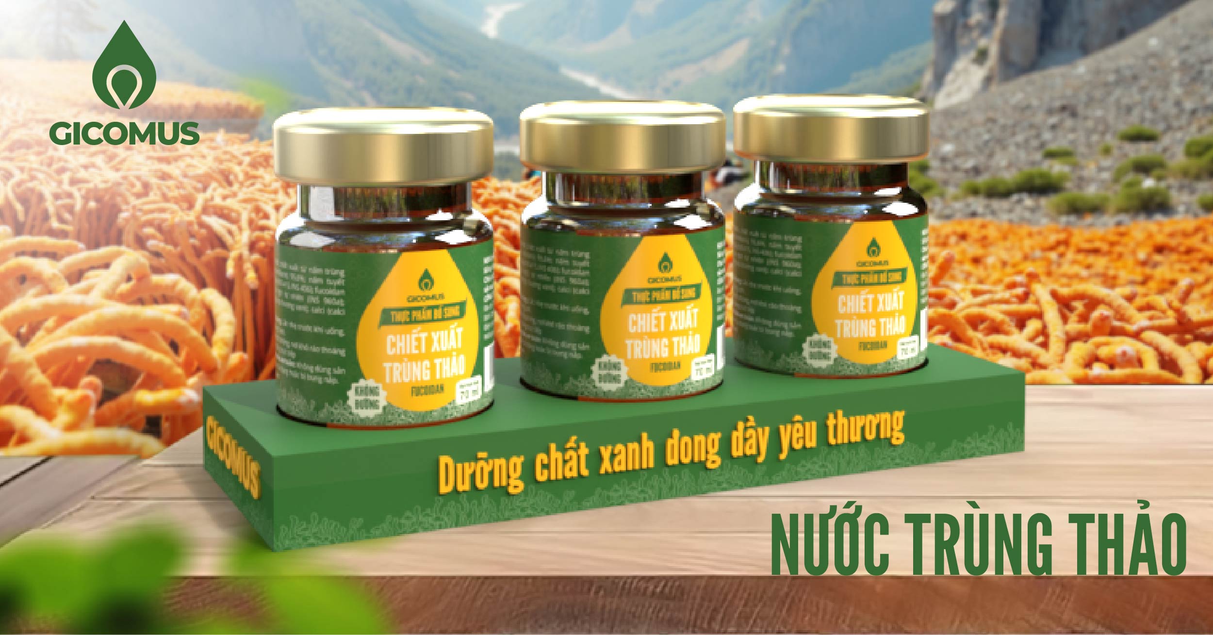 Combo 3: 3 hũ nước chiết xuất trùng thảo fucoidan không đường, hũ 70ml