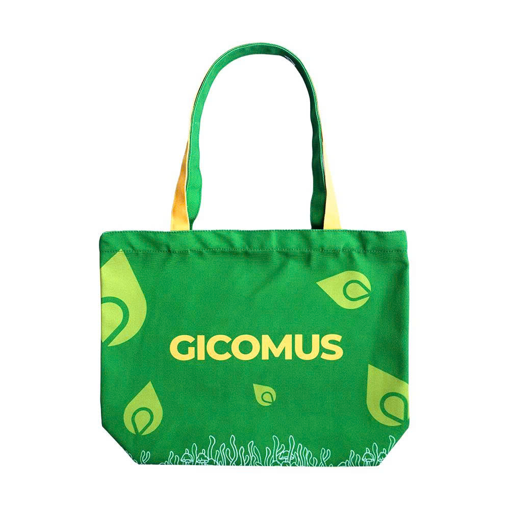 tui-canvas-gicomus-01