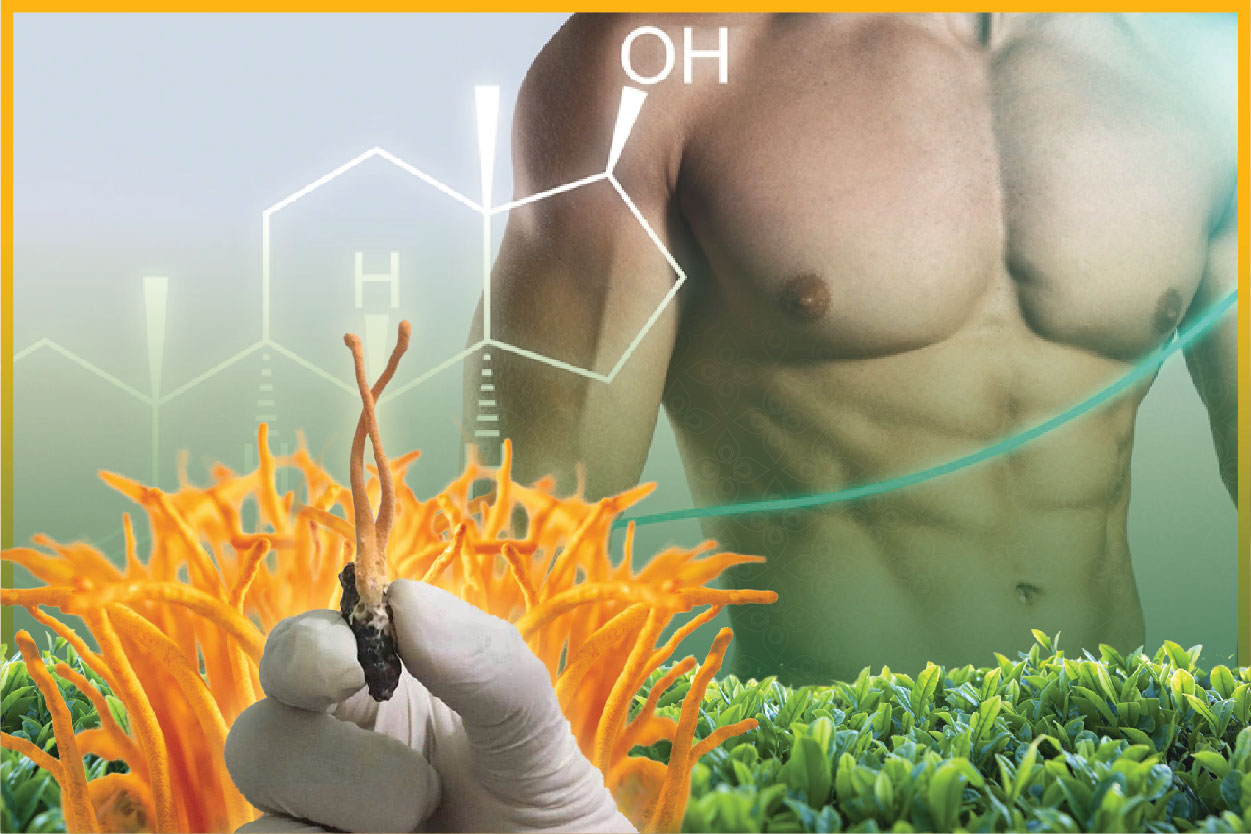 Sức khỏe tuổi trung niên