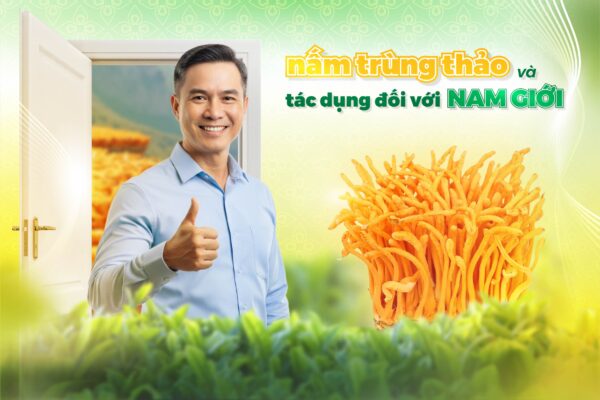 Nấm Trùng Thảo và Tác Dụng Đối Với Nam Giới