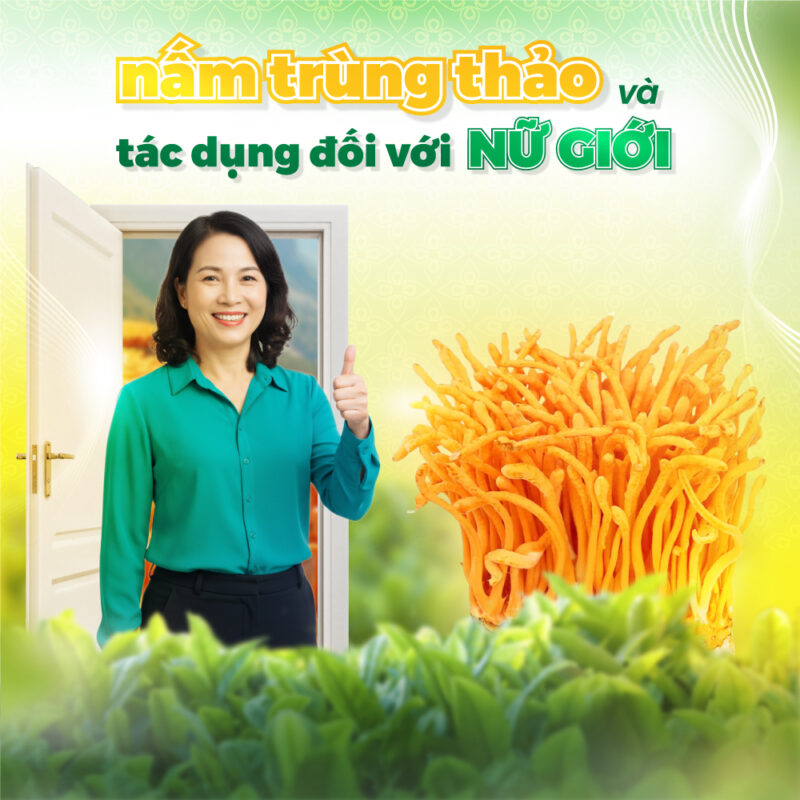Nấm Trùng Thảo và Tác Dụng Đối Với Nữ Giới