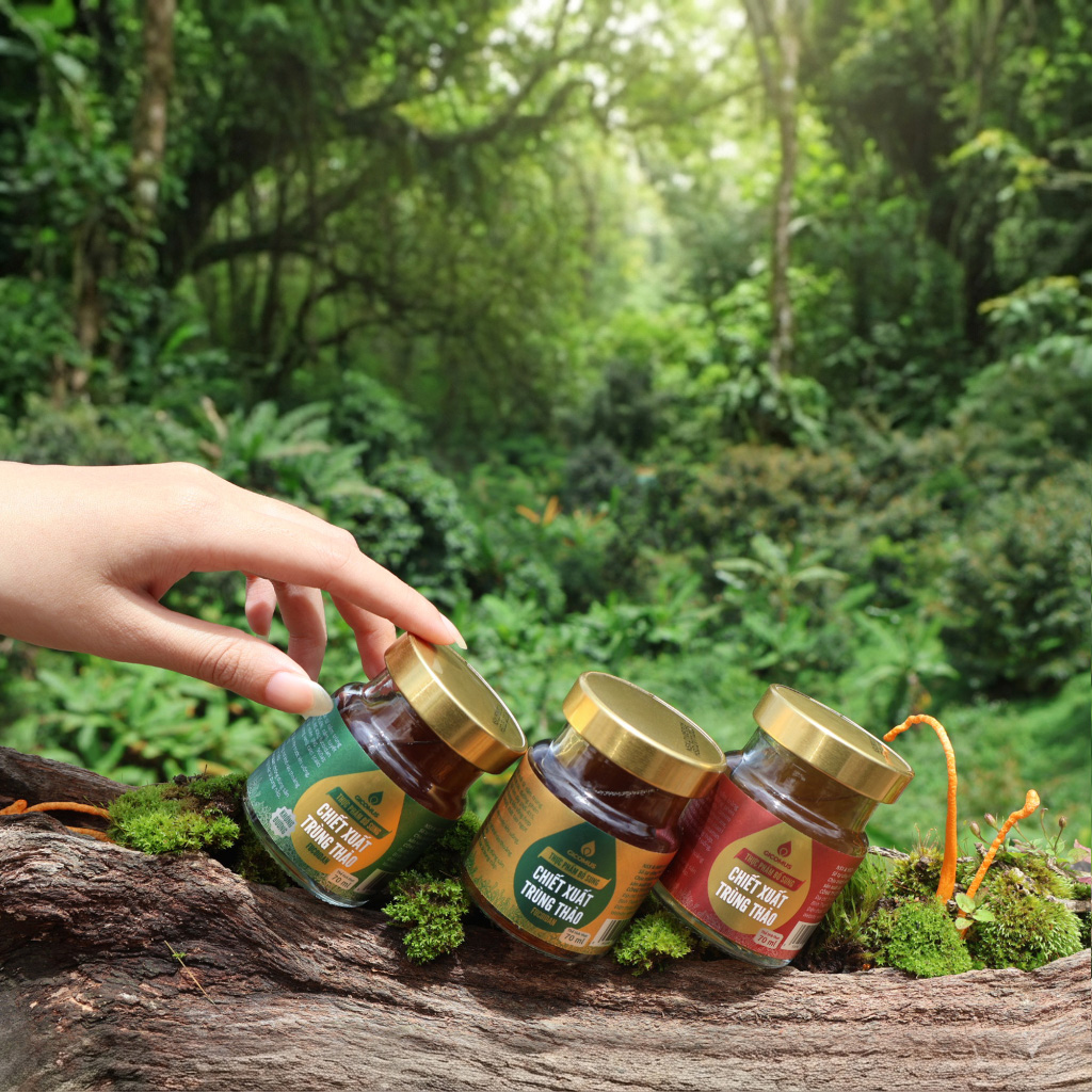 Những Điều Giản Đơn Tạo Nên Nấm Trùng Thảo GICOMUS