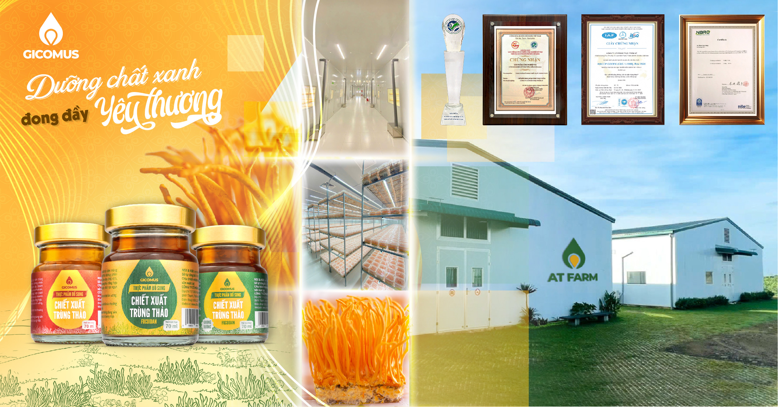 Món quà sức khoẻ 