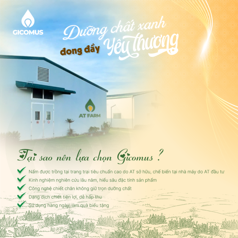 Tại Sao Nên Lựa Chọn Gicomus Làm Món Quà Sức Khỏe Ý Nghĩa