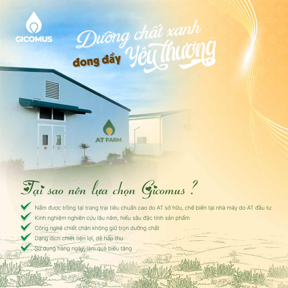 Tại Sao Nên Lựa Chọn Gicomus Làm Món Quà Sức Khỏe Ý Nghĩa