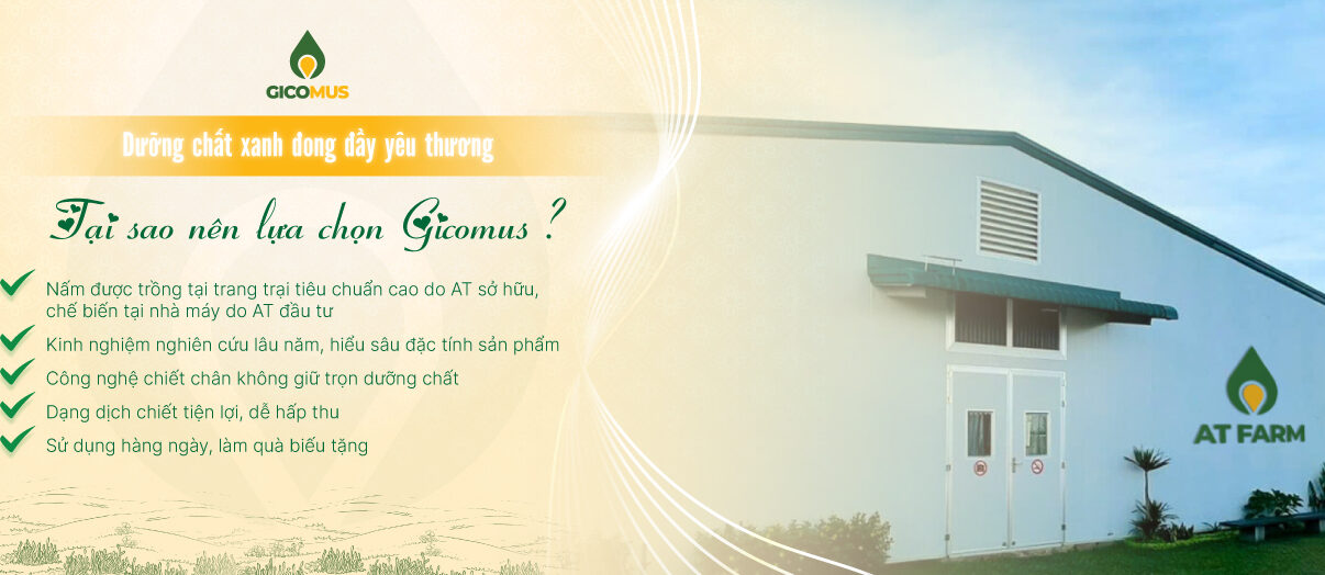 Tại Sao Nên Lựa Chọn Gicomus Làm Món Quà Sức Khỏe Ý Nghĩa