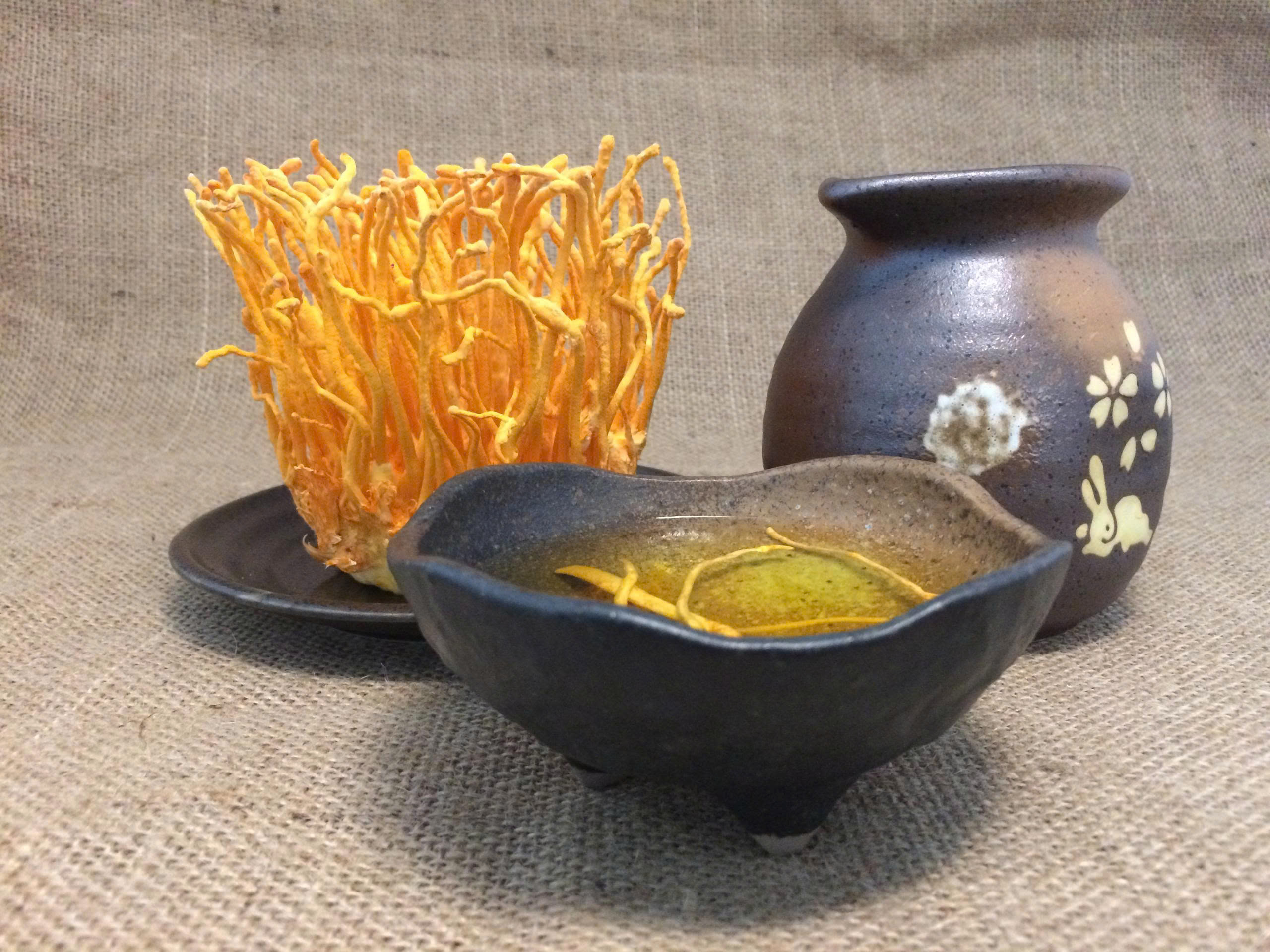 Công Dụng Của Nấm Trùng Thảo Nhìn Từ Góc Độ Khoa Học