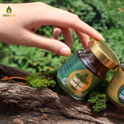 Những Điều Giản Đơn Tạo Nên Nấm Trùng Thảo GICOMUS