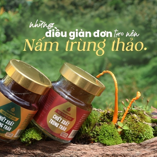 Những Điều Giản Đơn Tạo Nên Nấm Trùng Thảo GICOMUS