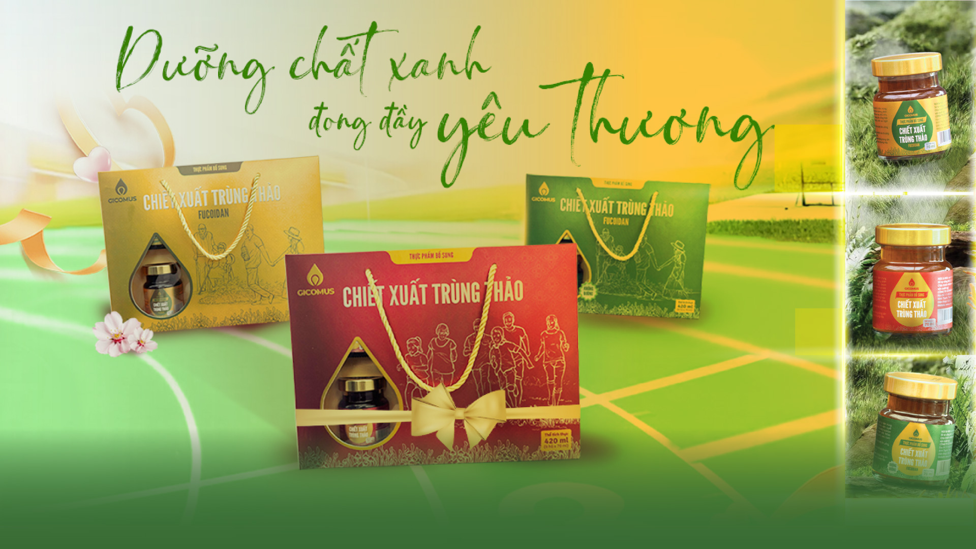 Gicomus món quà sức khoẻ 