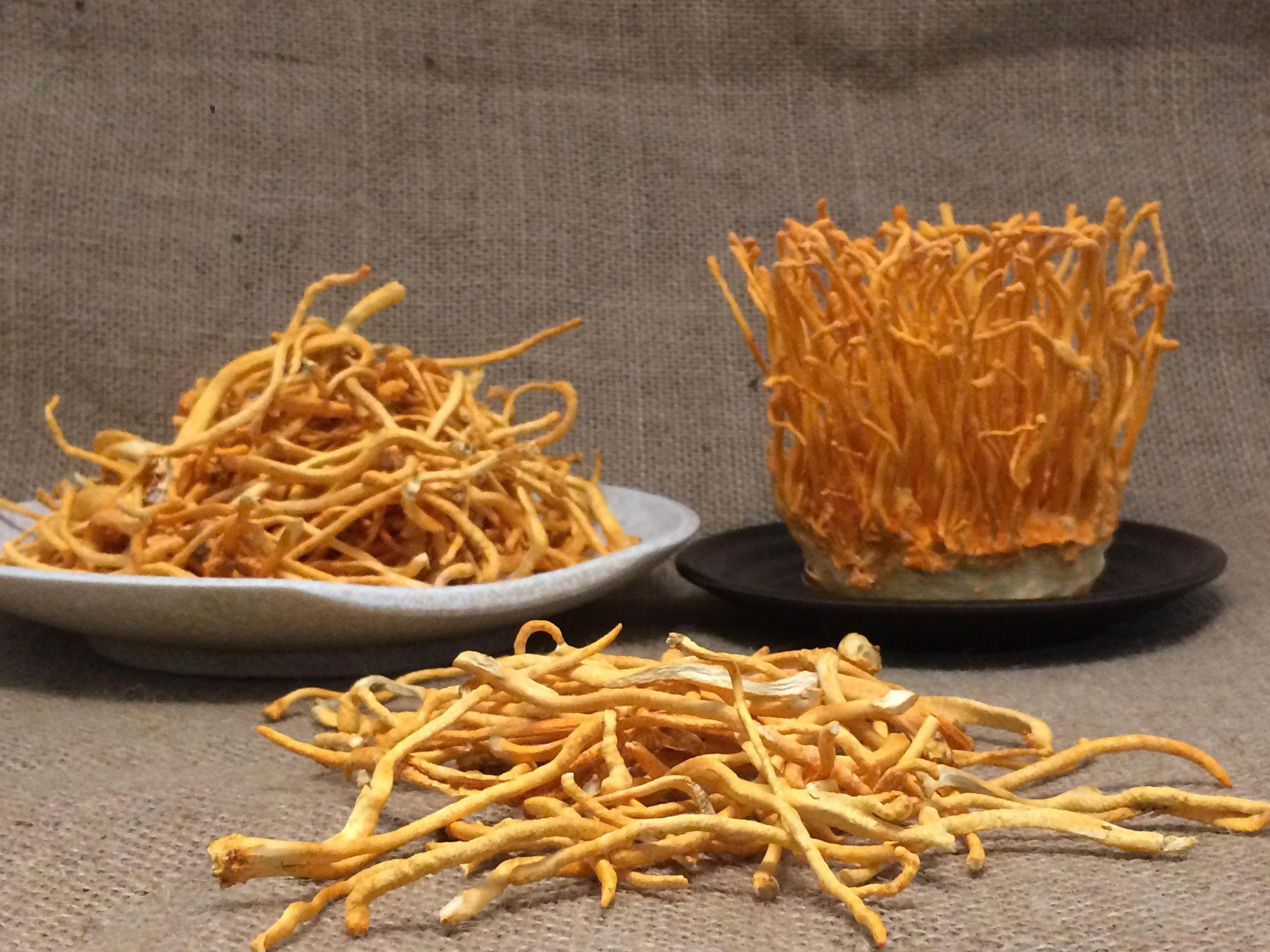 3 Loại Nấm Trùng Thảo