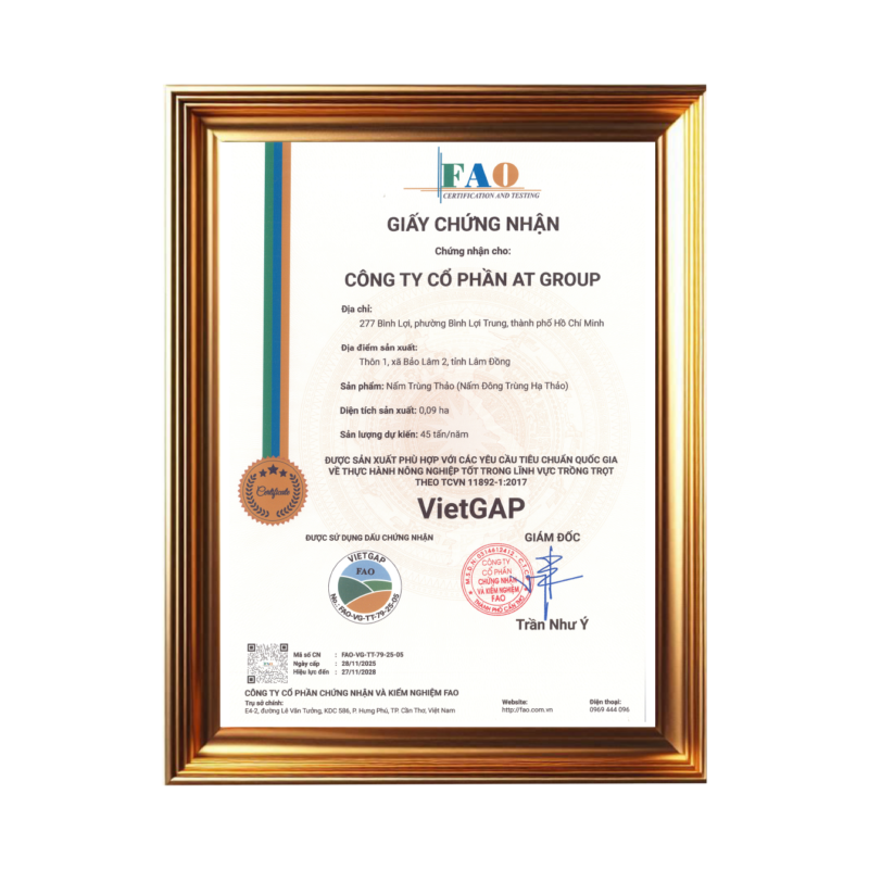 AT Farm đạt chứng nhận VietGAP, củng cố nền tảng vùng nguyên liệu cho các sản phẩm về nấm trùng thảo của AT Food