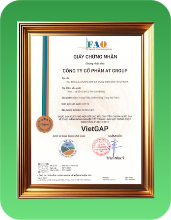 giấy chứng nhận vietgap-at