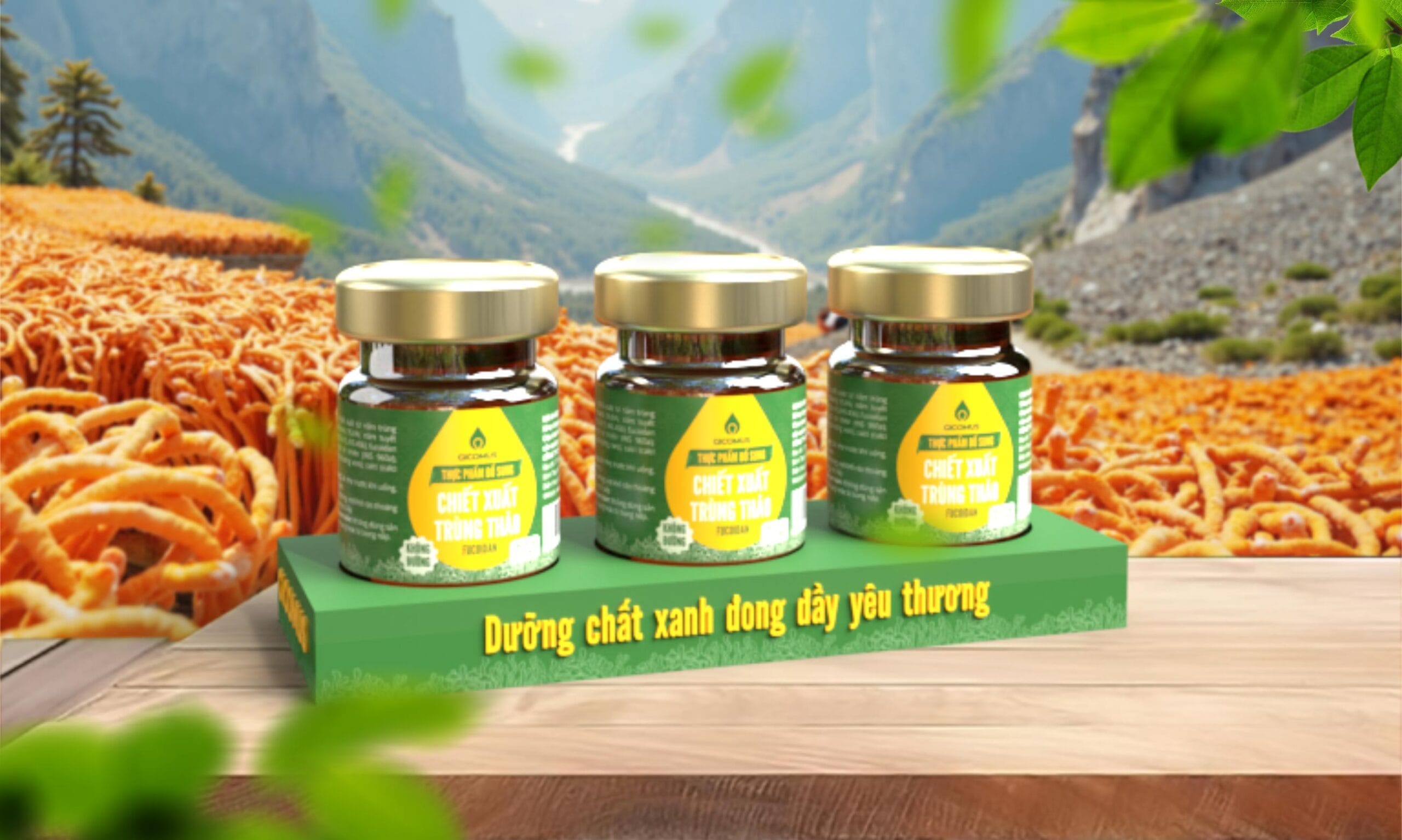 Combo 3: 3 hũ nước chiết xuất trùng thảo fucoidan không đường, hũ 70ml