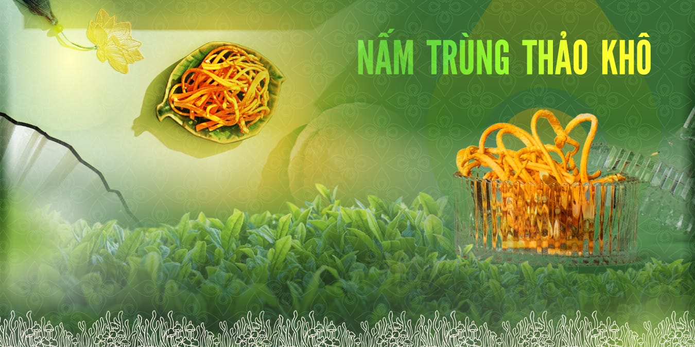 Nấm trùng thảo Nucamus khô hộp 250gam
