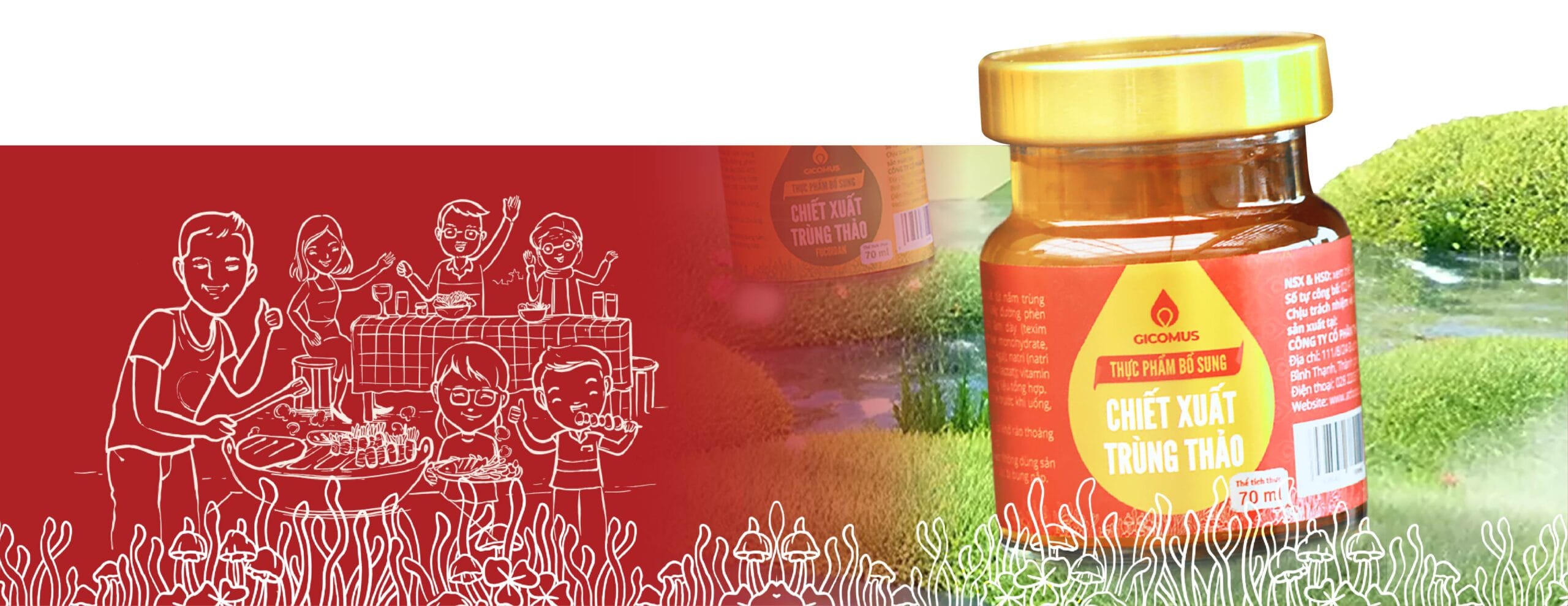 Nước chiết xuất trùng thảo Hộp 70ml