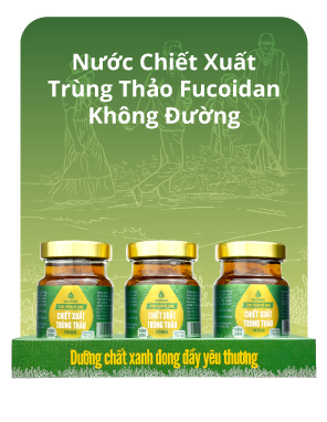 nuoc-chiet-xuat-trung-thao-fucoidan-khong-duong2