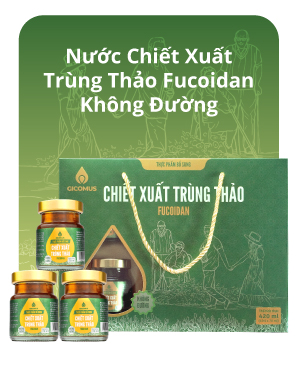 nuoc-chiet-xuat-trung-thao-fucoidan-khong-duong3