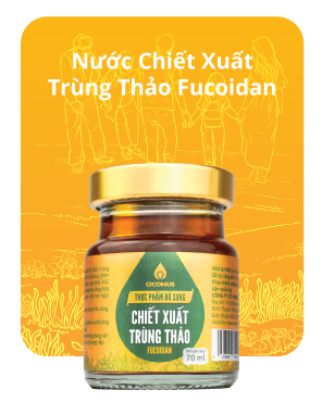 nuoc-chiet-xuat-trung-thao-fucoidan