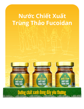nuoc-chiet-xuat-trung-thao-fucoidan2