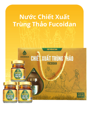 nuoc-chiet-xuat-trung-thao-fucoidan3