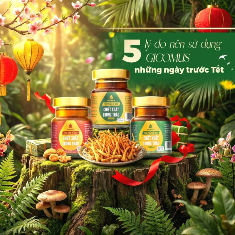 5 Lý Do Nên Sử Dụng Gicomus Những Ngày Trước Tết