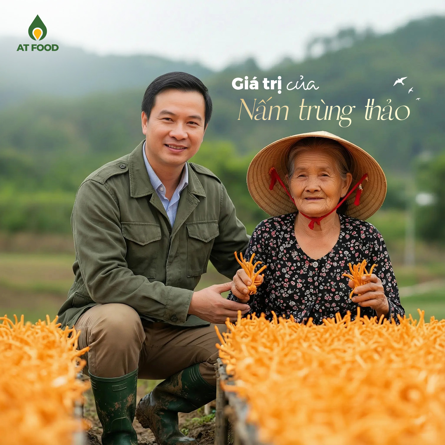 GIÁ TRỊ CỦA NẤM TRÙNG THẢO?