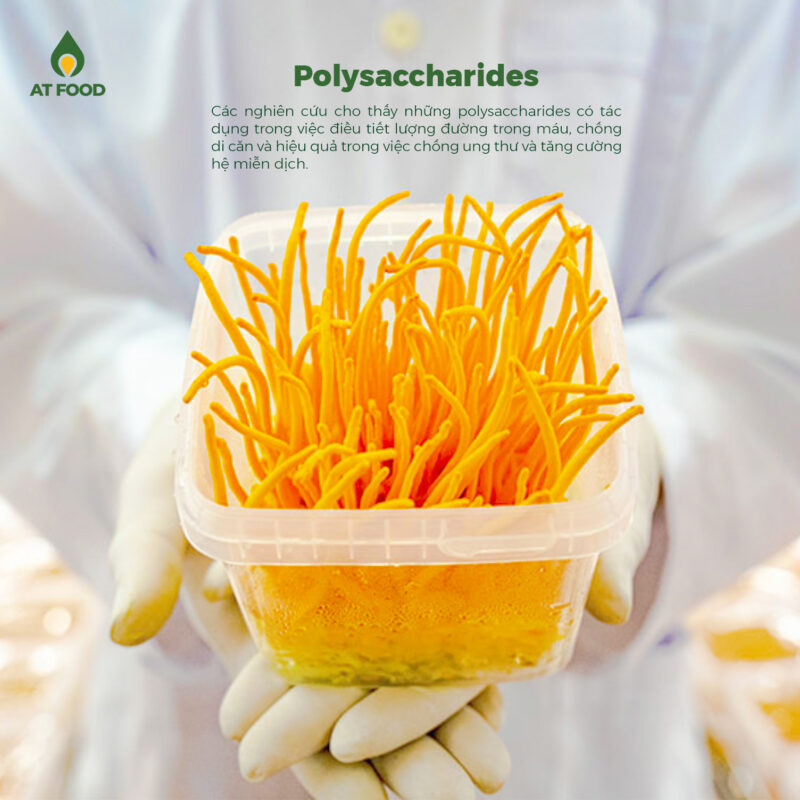 Các nghiên cứu cho thấy polysaccharides có tác dụng điều tiết lượng đường trong máu